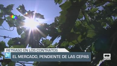 El mercado, pendiente de las cepas - 18/06/25