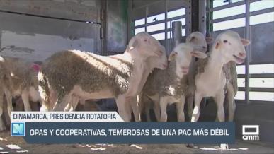 El campo - 01/07/2025
