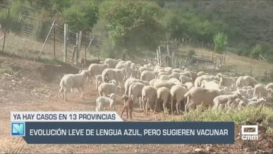 El campo - 22/07/2025