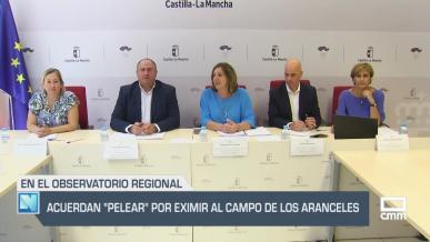El campo - 29/07/2025