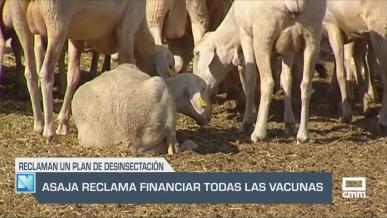 El campo - ASAJA reclama financiar todas las vacunas - 19/08/2025
