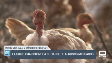 La gripe aviar provoca el cierre de algunos mercados - 11/09/2025