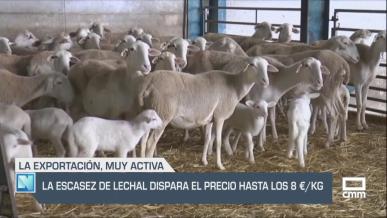 La escasez de lechal dispara el precio hasta 8€/kg - 12/09/2025