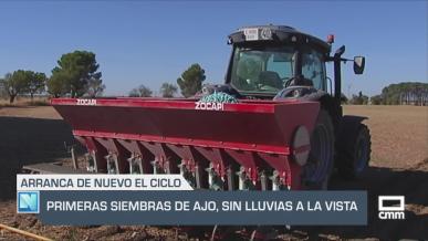 Primeras siembras de ajo, sin lluvias a la vista - 16/09/2025