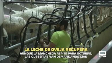 La leche de oveja recupera - 30/09/2025