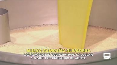 Nueva campaña olivarera - 01/10/2025