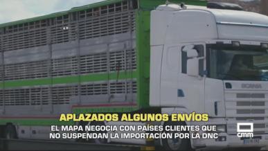El MAPA negocia con países clientes que no suspendan la importación por la DNC - 06/10/2025
