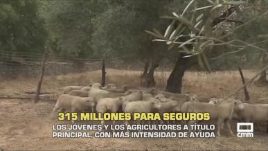 315 millones para seguros - 19/11/2025