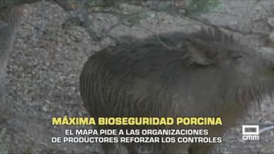 Máxima seguridad biosanitaria. El MAPA pide reforzar los controles - 01/12/25