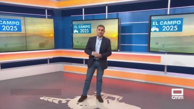 El campo - 31/12/2025