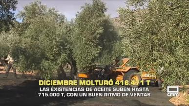 Las existencias de aceite suben hasta 715.000 T, con buen ritmo de ventas - 13/01/2026