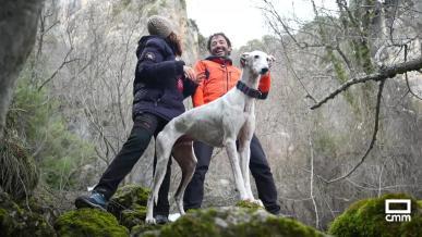 Aventura en Cañizares: cañones, pinares infinitos, miradores naturales y paredes rocosas