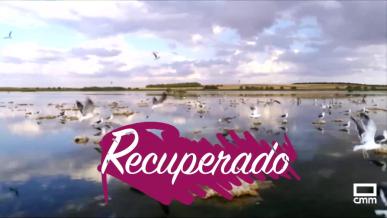 RECUPERADO
