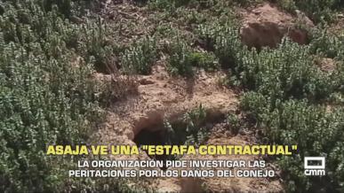 ASAJA pide investigar las peritaciones por los daños del conejo - 15/05/2026