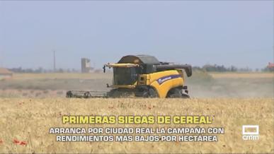 Comienza la campaña de recolección de cereales - 25/05/2026
