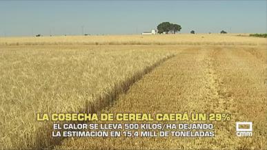 La cosecha de cereal caerá un 29 % - 05/06/2026