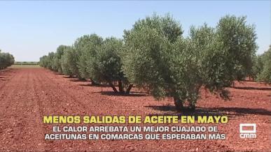 Menos salidas de aceite en mayo - 11/06/2026