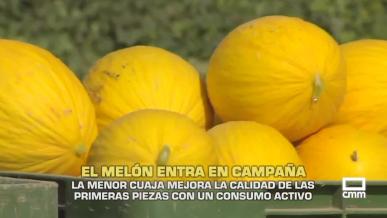El melón entra en campaña - 16/07/2026