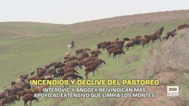 Incendios y declive del pastoreo - 23/07/2026
