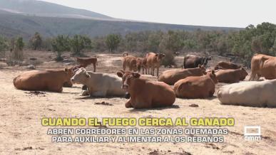 El campo - 27/07/2026