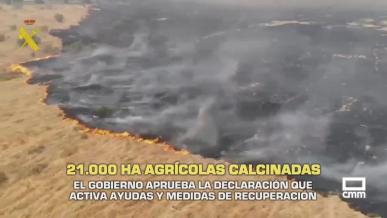 El campo - 28/07/2026