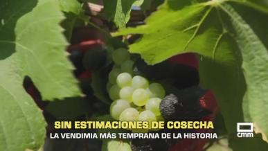 El campo - 03/08/2026