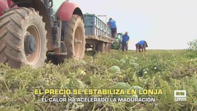 El campo - 06/08/2026