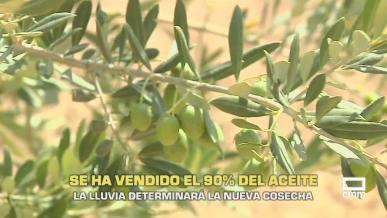 Se ha vendido el 90 % del aceite - 13/08/2026