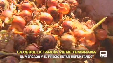 La cebolla tardía viene temprana - 19/08/2026