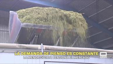 La demanda de pienso es constante - 24/08/2026