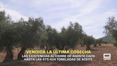 Vendida la última cosecha de aceite - 14/09/2026