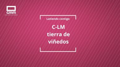 Castilla-La Mancha, tierra de viñedos