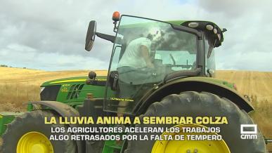 La lluvia anima a sembrar colza - 02/10/2026
