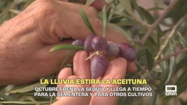 La lluvia frena la sequía y llega a tiempo para la sementera - 05/10/2026