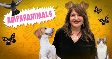 Amparanimals con Amparo de Aguilar y CMMPlay