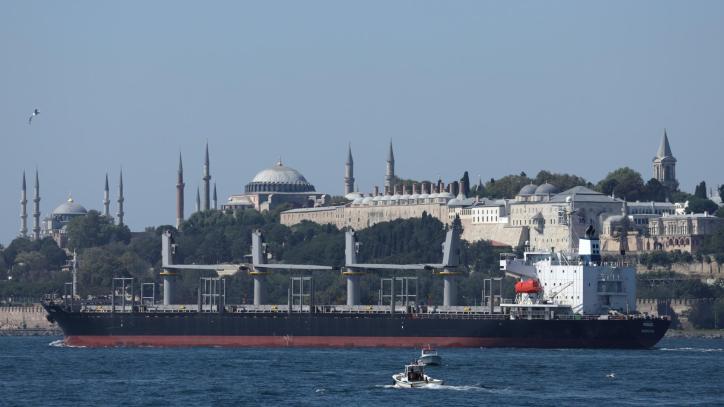 ESTAMBUL (TURQUÍA), 29/08/2023.- El buque con bandera liberiana Primus, el segundo carguero que sale del puerto ucraniano de Odesa desde el fin del acuerdo sobre los cereales a pesar de las amenazas rusas, navega por el Bósforo en Estambul, Turquía, el 29 de agosto de 2023. (Rusia, Turquía, Ucrania, Estanbul). EFE/ERDEM SAHIN
