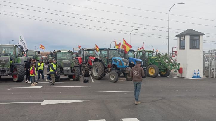 Tractores en las instalaciones de Desguaces La Torre, en Torrejón de la Calzada, Madrid
