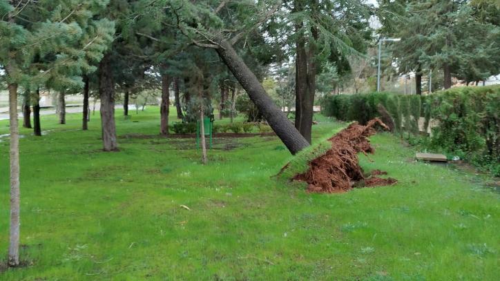 Imagen del parque de Saceruela tras el paso de la borrasca que ha dejado fuertes rachas de viento