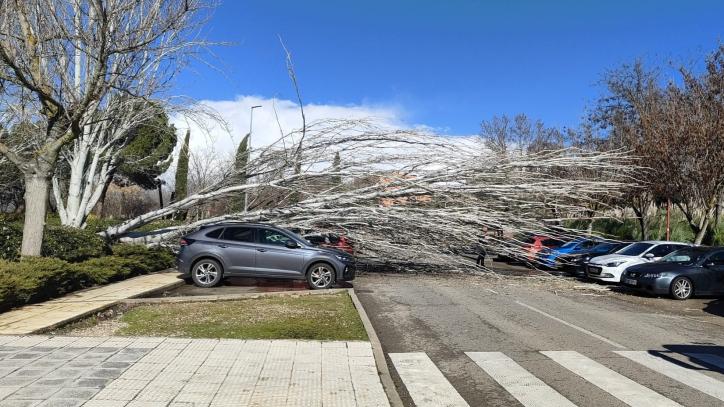 Los fuertes vientos causan 50 incidencias en Guadalajara