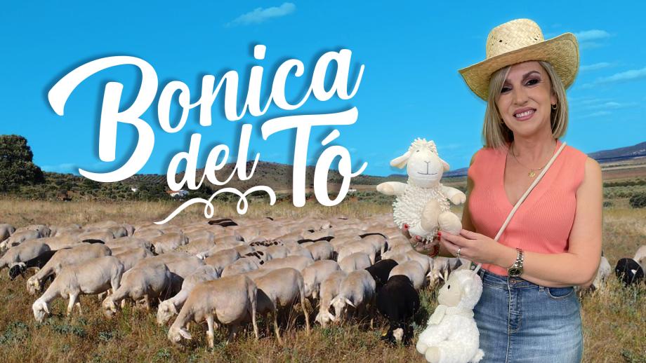 BONICA DEL TO