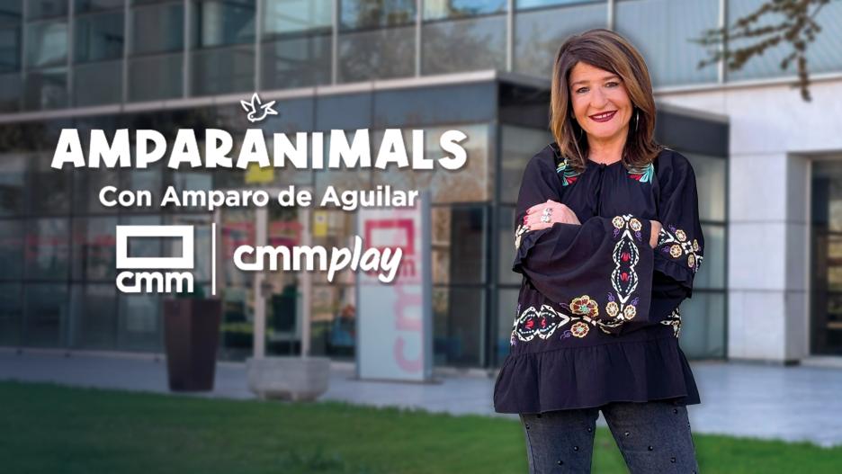 Amparanimals estreno en CMM