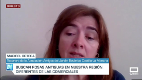 Entrevista a Maribel Ortega - 18/6/2025