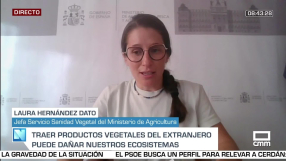 Entrevista a Laura Hernández Dato