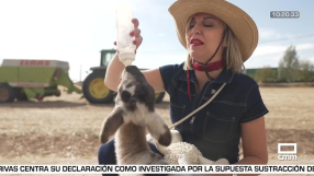 Despierta Player con Cristina Medina - 31/10/2025