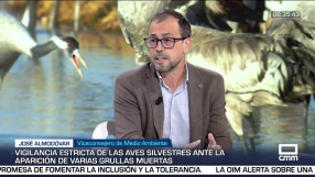 Entrevista a José Almodóvar