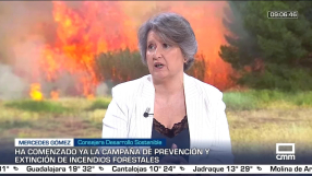 Entrevista a Mercedes Gómez