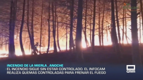 Avance informativo por el incendio forestal de La Mierla (Guadalajara)