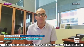 Entrevista a Diego Intrigliolo