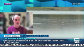 Entrevista a Gabriel Gargallo - 8/10/2026