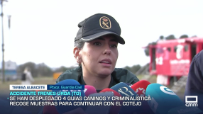 Cuatro perros de la Guardia Civil trabajan en la zona cero del accidente de tren